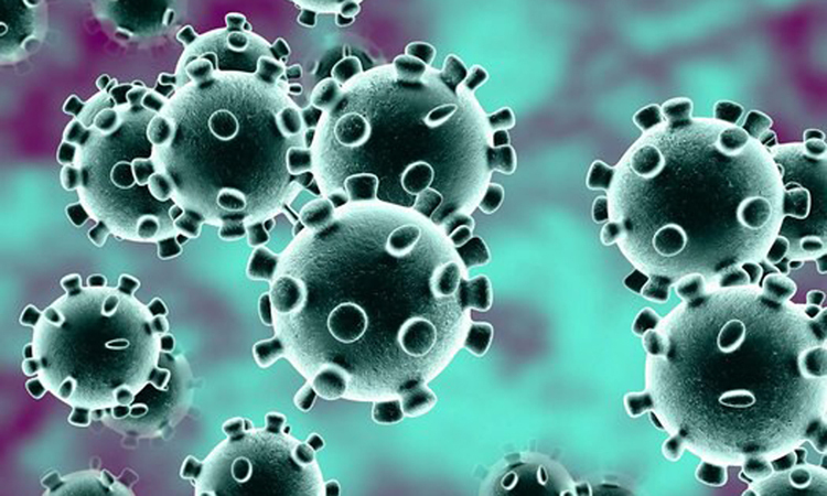 nCoV, virus gây ra dịch viêm phổi Vũ Hán, có nhiều điểm giống SARS-CoV. Ảnh: Sunrise News Nigeria.