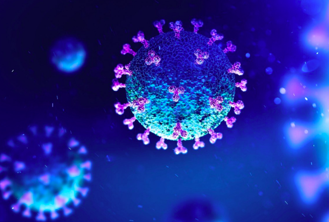 Hình ảnh virus corona. (Ảnh: Shuttlestock)